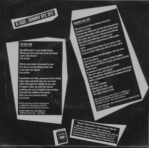 Johnny Bye Bye cover