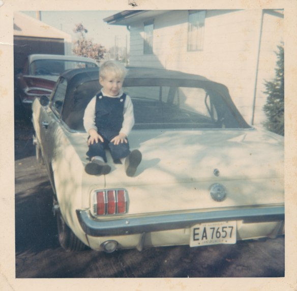 You better slow that Mustang down Kevin Lee. 1825 Bertman Avenue, Springfield, Il